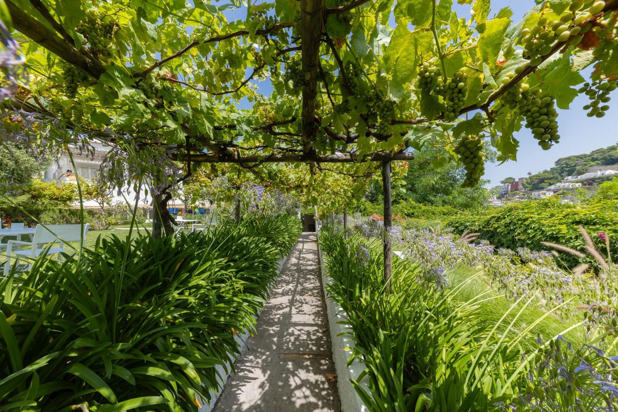 Villa La Pergola Capri Exterior photo
